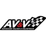 AV&V