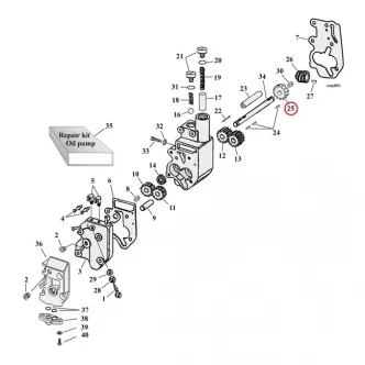 DOSS Driven Gear, Oil Pump 24T Import For 1973-1999 B.T. (Excluding TC) Models (ARM031215)