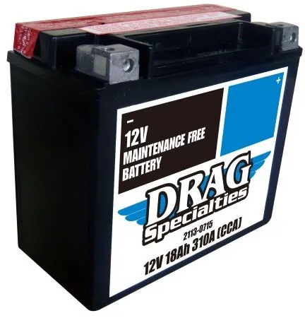 Drag Specialties Replacement Battery 310 CCA For 2000-2025 Softail, 2024-2025 Pan America, 1999-2017 Dyna, 2008-2017 V-Rod & 1997-2003 Sportster Models & 1997-2002 Buell M2/S3 (DTX20HL-FT-EU)
