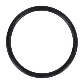 Mikuni O-ring (ARM740785)